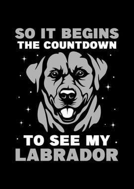 Labrador