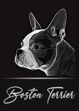 Boston Terrier