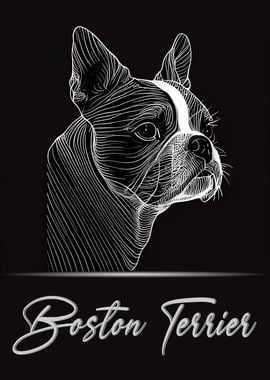 Boston Terrier