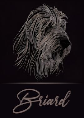 Briard Portrait