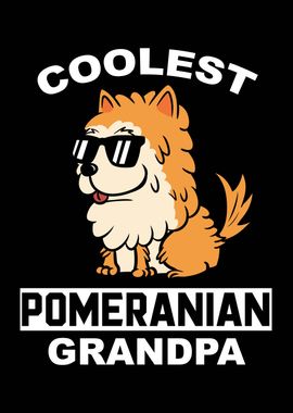 Pomeranian Grandpa 