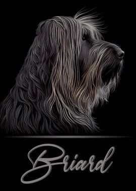 Briard