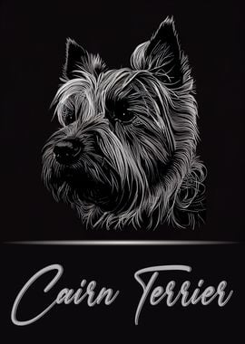 Cairn Terrier Portrait