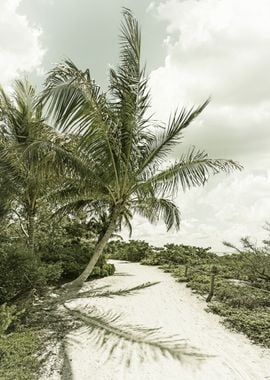 Vintage palm trees 