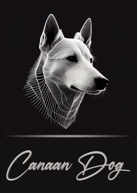 Canaan Dog Portrait