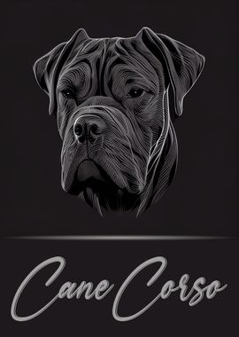 Cane Corso