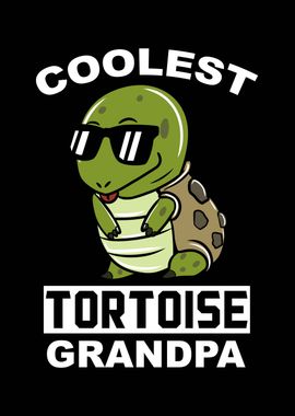 Tortoise Grandpa 