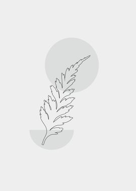 fern line art