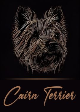 Elegant Cairn Terrier