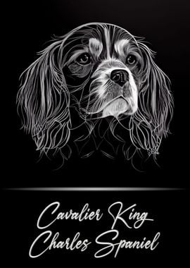 King Charles Spaniel