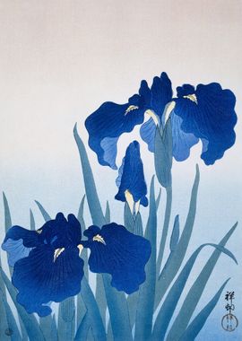 Ohara Koson Iris Flowers