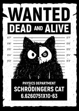 Schrodingers cat DOA