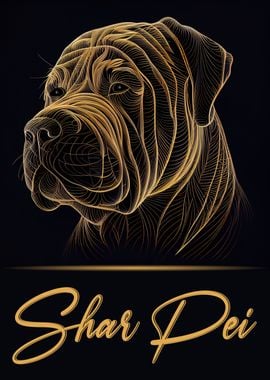 Shar Pei Portrait