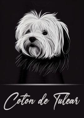 Coton de Tulear