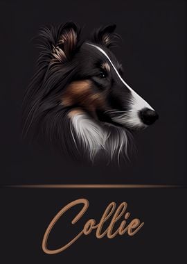 Elegant Collie