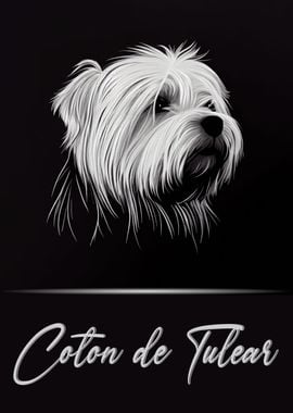 Cute Coton de Tulear