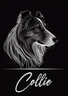 Collie Portrait