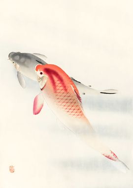 Ukiyo e Japanese Koi Fish