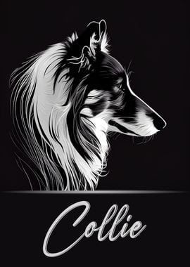 Collie