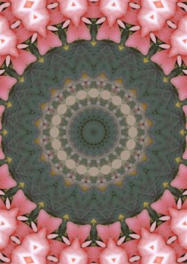 Rose garden Kaleidoscope 2