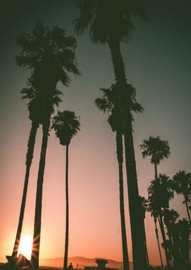 California Sunset