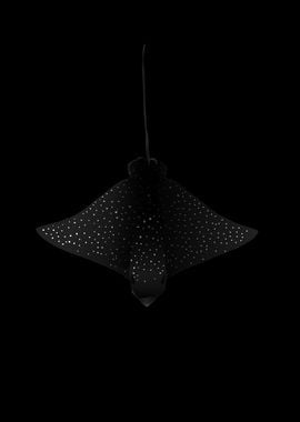 Spotted Eagle Ray Dark