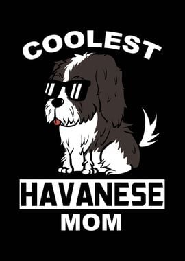 Havanese Mom 