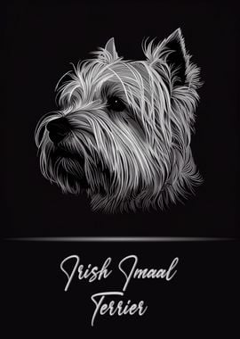 Irish Imaal Terrier