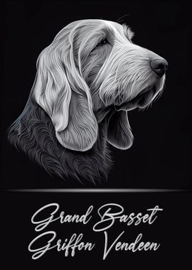 Grand Basset Griffon GBGV