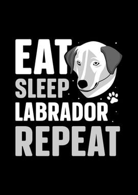 Labrador