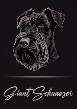 Giant Schnauzer