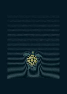 Marine Turtle Sea Lines