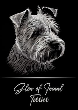 Glen of Imaal Terrier