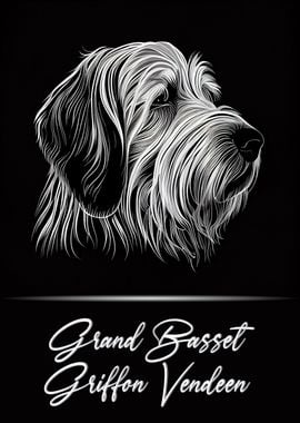 Grand Basset Griffon GBGV