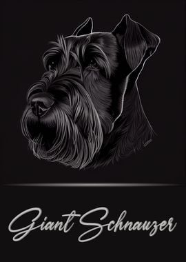 Giant Schnauzer Portrait