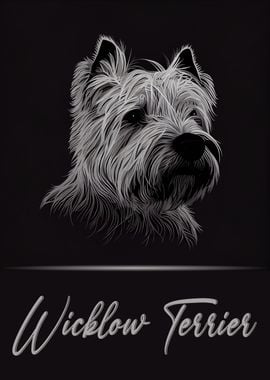 Wicklow Terrier