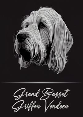 Grand Basset Griffon GBGV