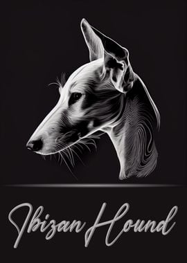 Ibizan Hound Portrait