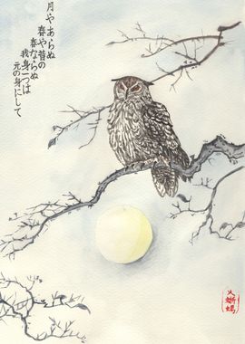 Owl Zen Painting