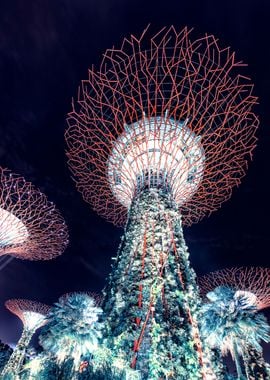 Gardens By The Bay