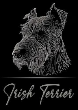 Irish Terrier Portrait