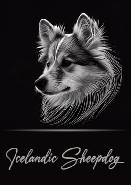 Icelandic Sheepdog