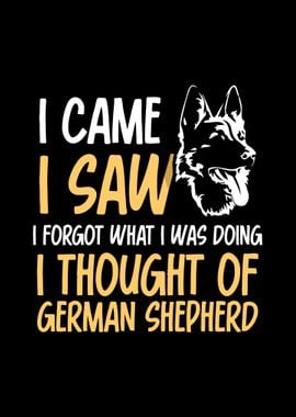 German Shepherd