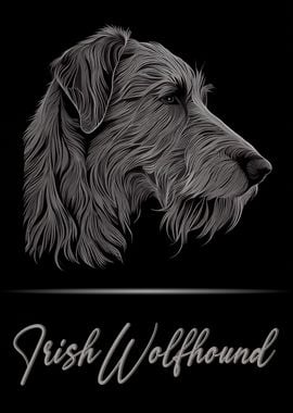 Irish Wolfhound Portrait