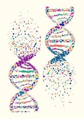 DNA molecule