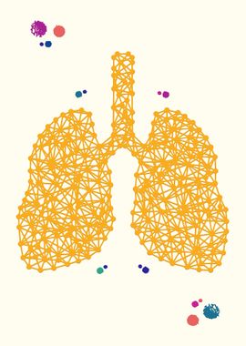 Lungs anatomy