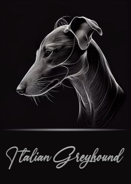 Italian Greyhound