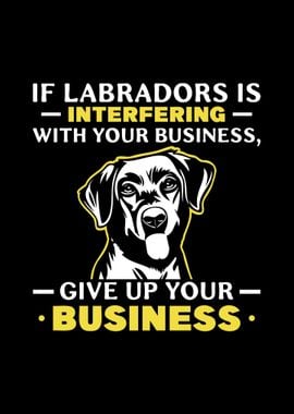 Labrador