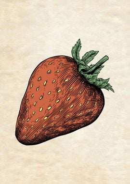 VINTAGE STRAWBERRY