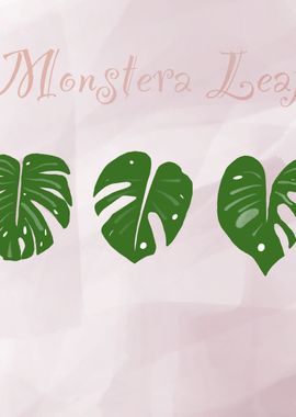 Monstera leaf